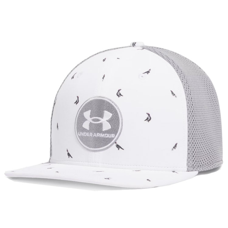 Under Armour Iso-Chill Driver Low Golf Cap White / White